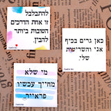 מגנטים